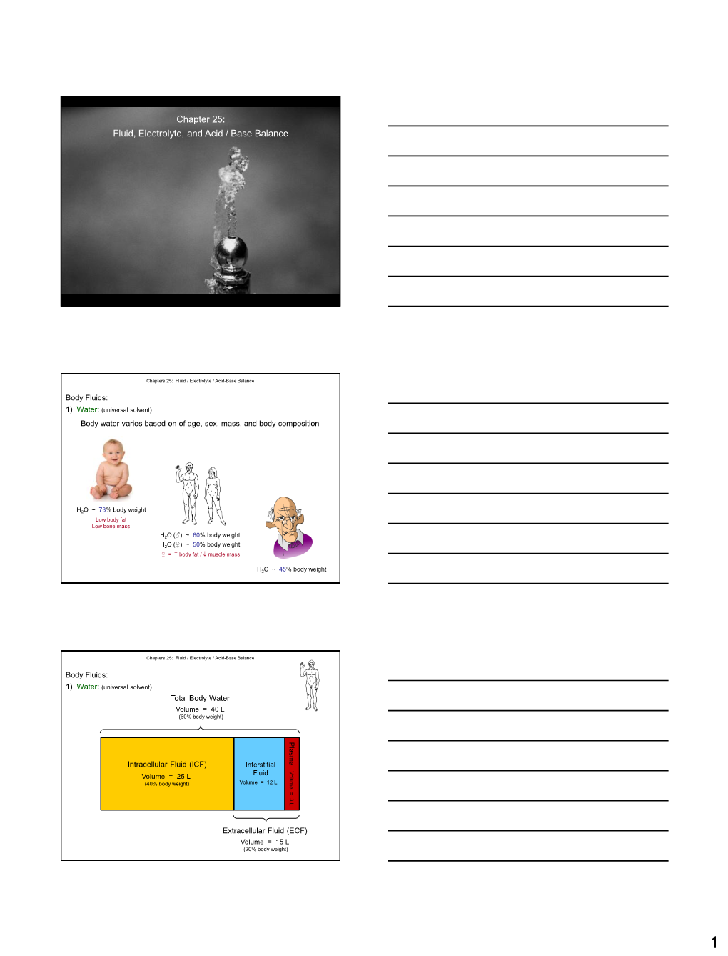 Chapter 25: Fluid, Electrolyte, and Acid / Base Balance