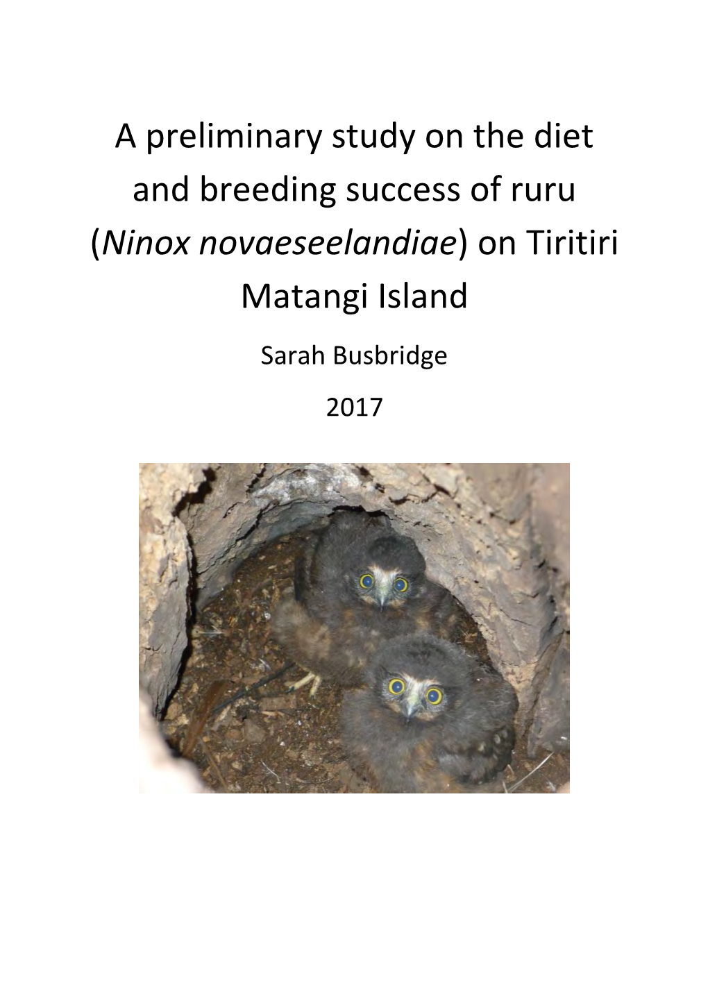 A Preliminary Study on the Diet and Breeding Success of Ruru