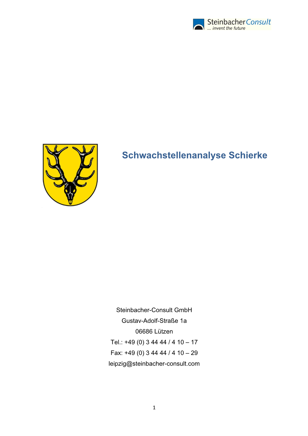 Schwachstellenanalyse Schierke