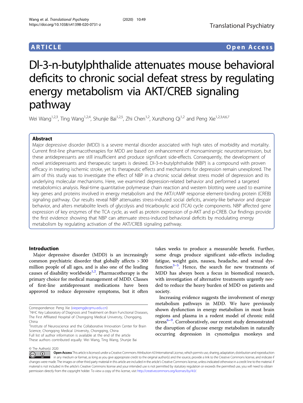 Dl-3-N-Butylphthalide Attenuates Mouse Behavioral Deficits to Chronic