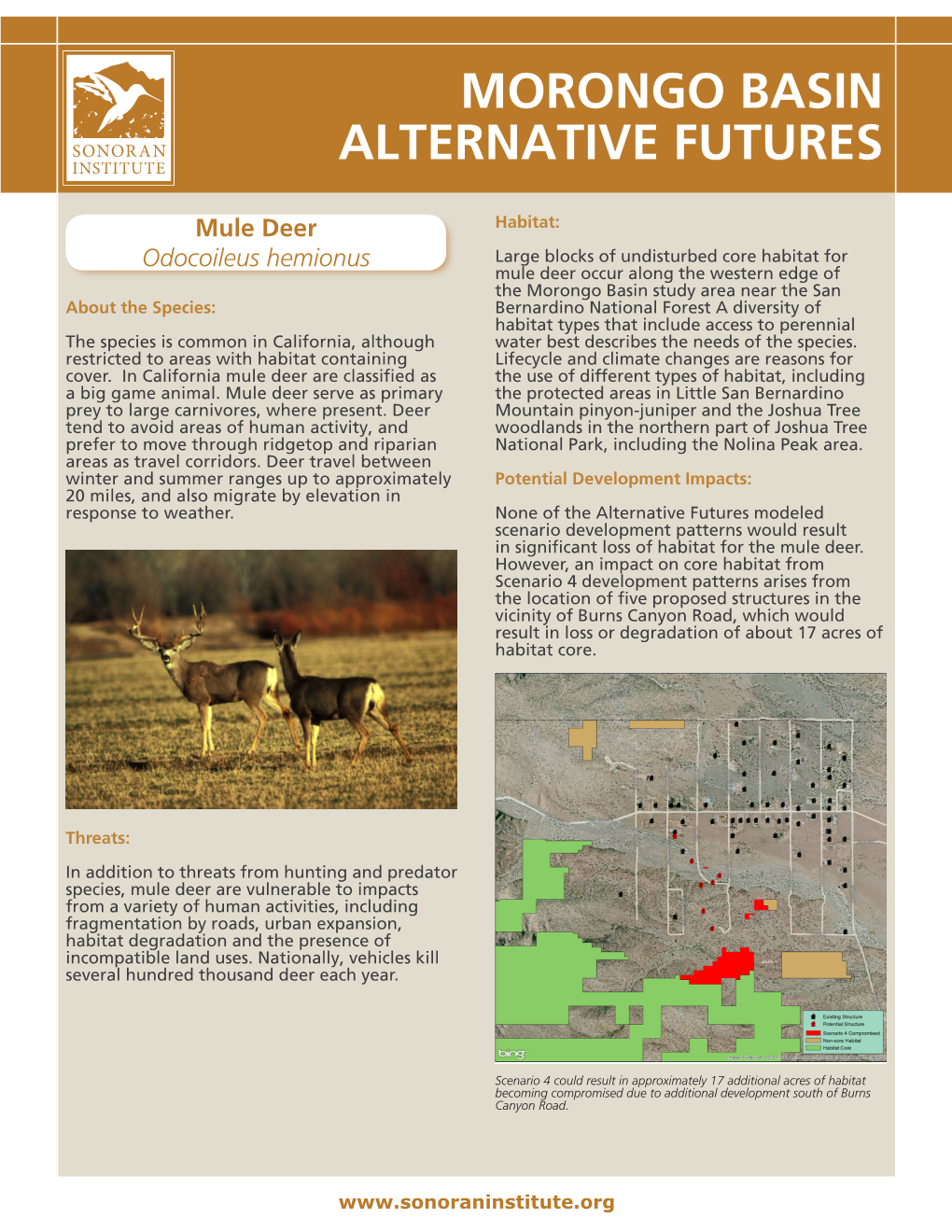 Morongo Basin Alternative Futures