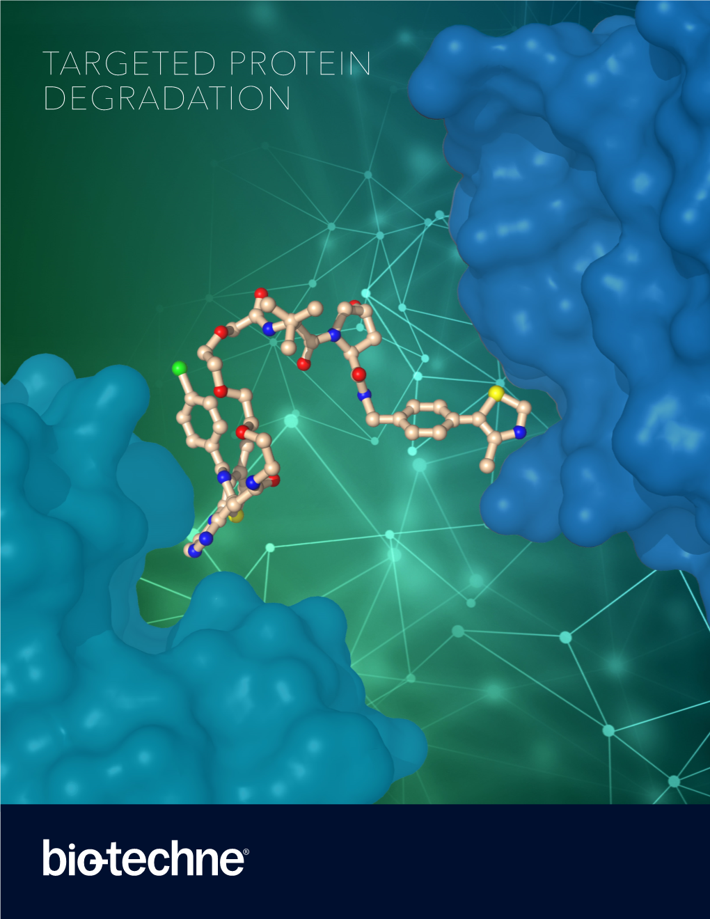 TARGETED PROTEIN DEGRADATION Targeted Protein Degradation