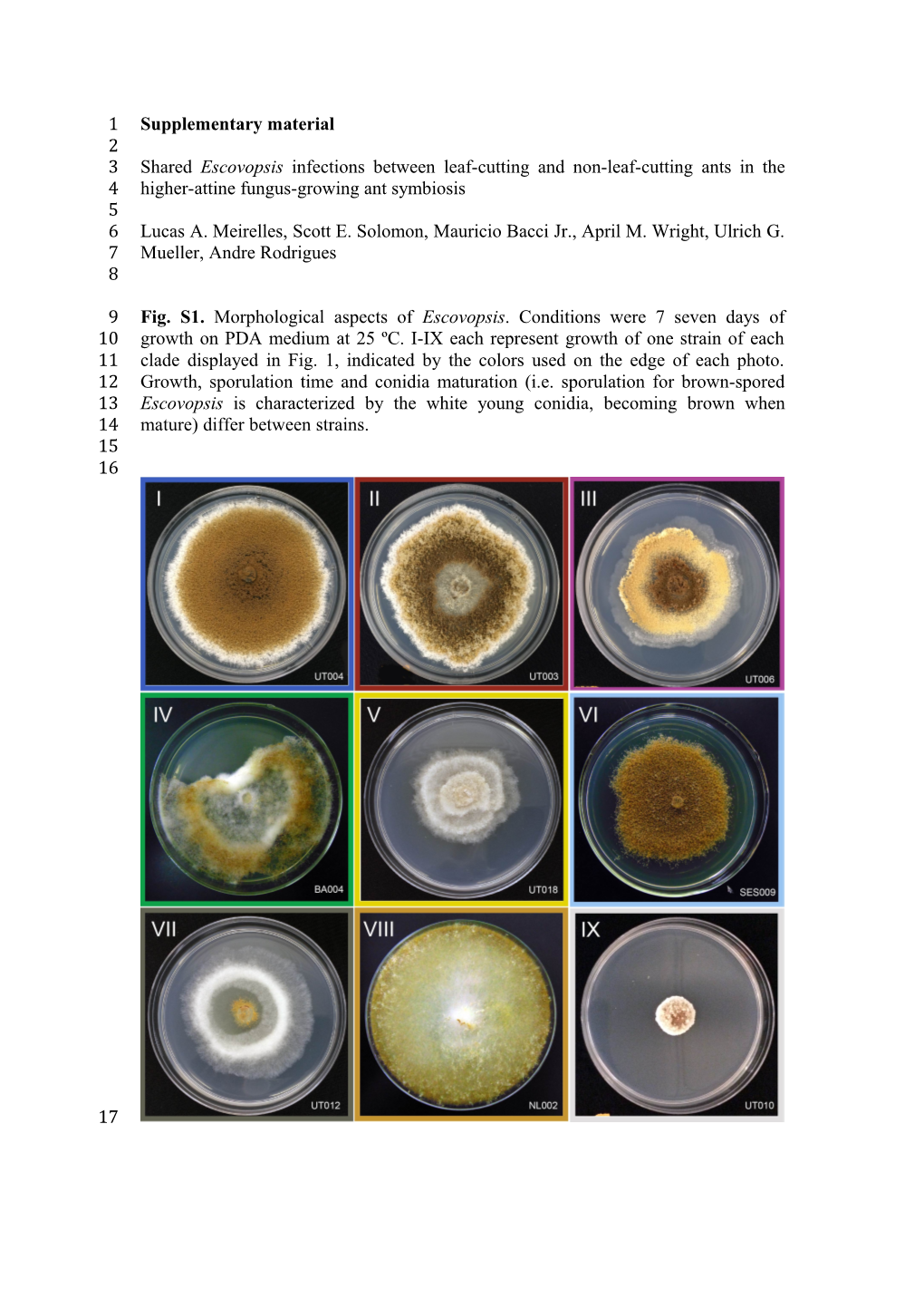 Supplementary Material s35