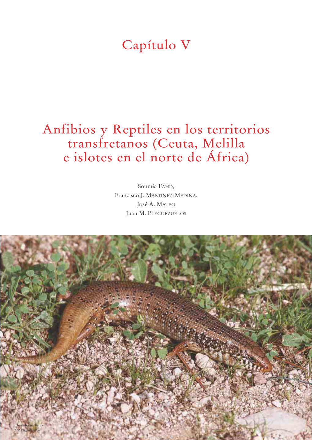 Capítulo V Anfibios Y Reptiles En Los Territorios Transfretanos (Ceuta