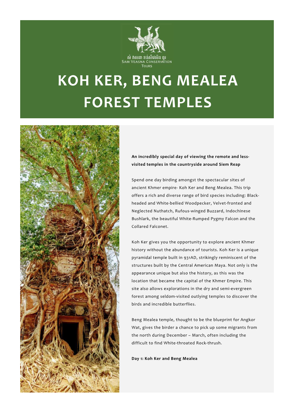 Koh Ker, Beng Mealea Forest Temples SVC Brochure