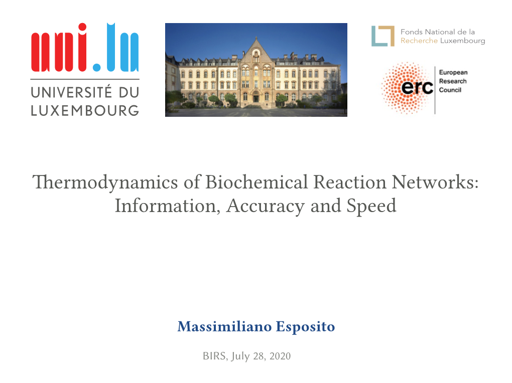 Thermodynamics of Biochemical Reaction Networks: Information, Accuracy and Speed