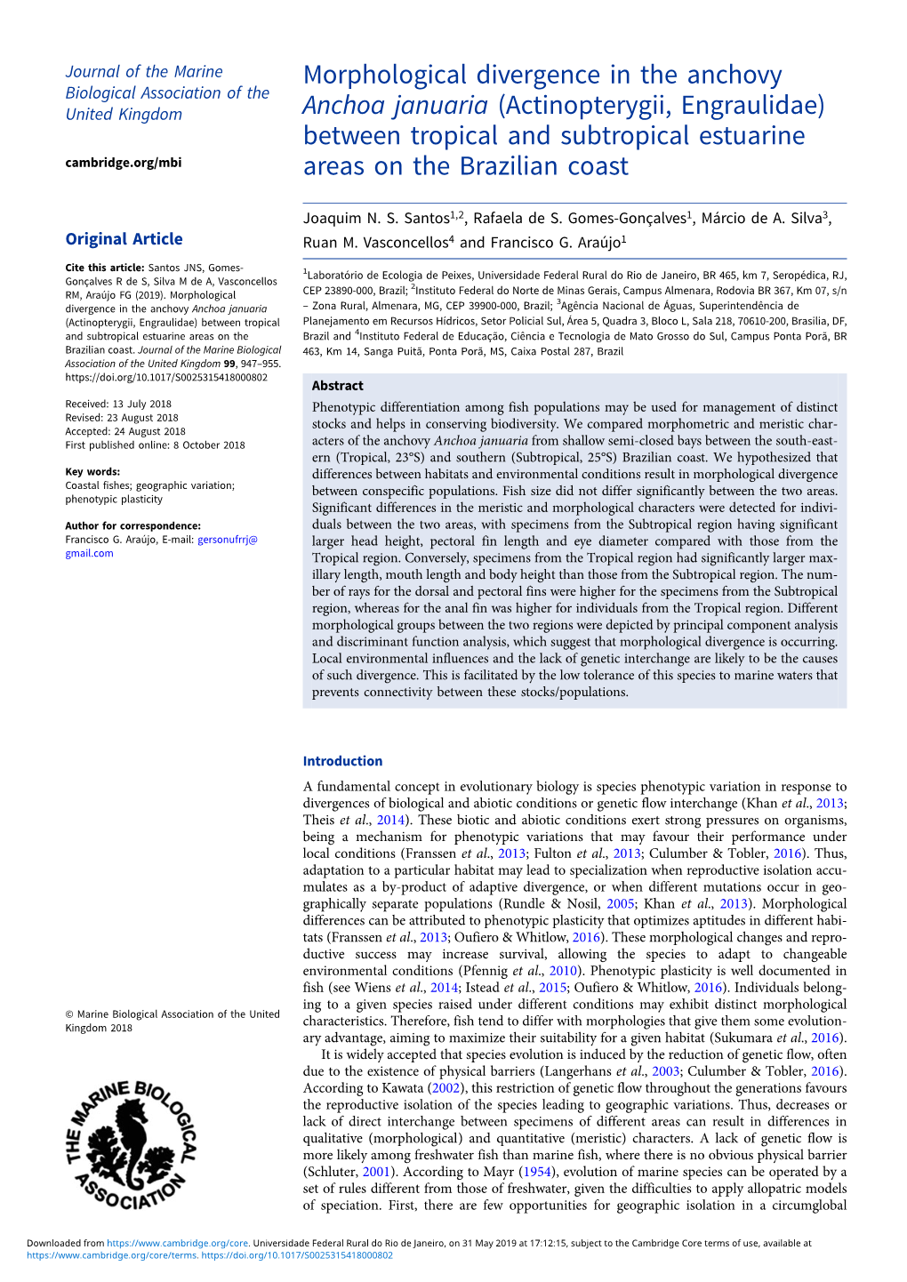 Morphological Divergence in the Anchovy Anchoa Januaria