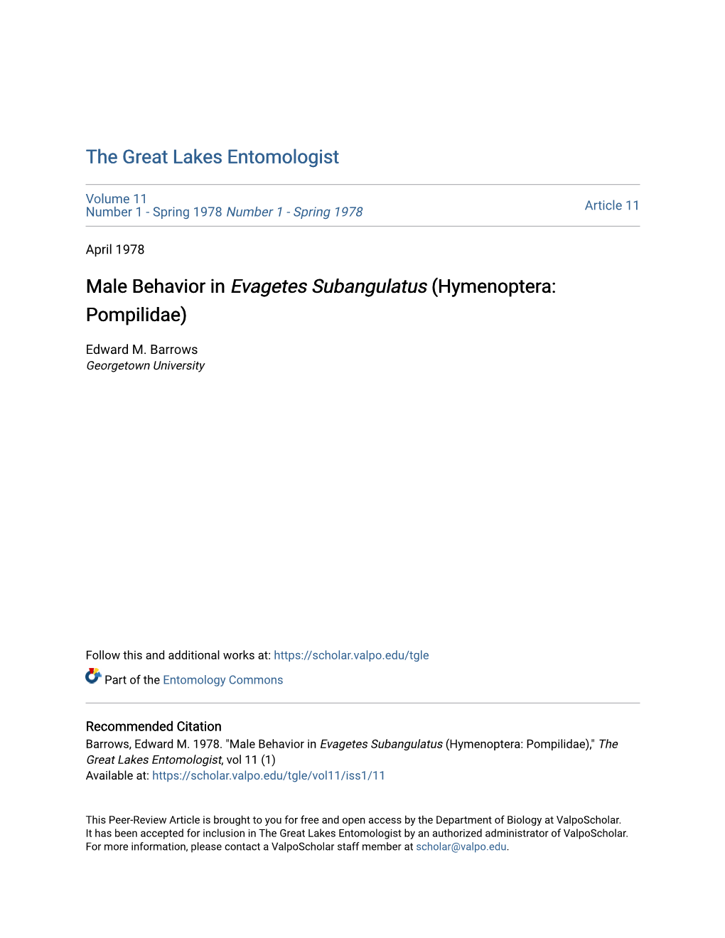 Male Behavior in Evagetes Subangulatus (Hymenoptera: Pompilidae)