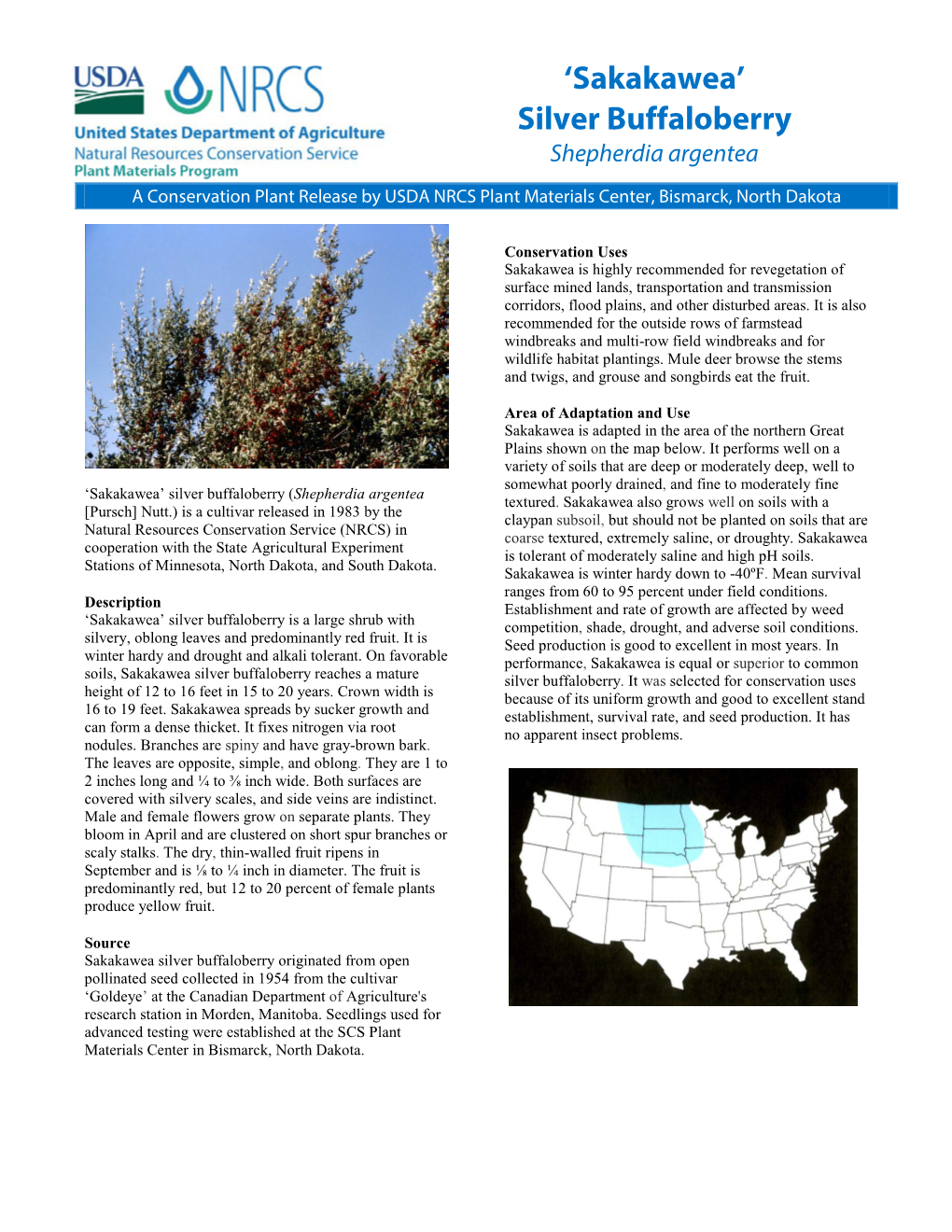 Silver Buffaloberry Shepherdia Argentea a Conservation Plant Release by USDA NRCS Plant Materials Center, Bismarck, North Dakota