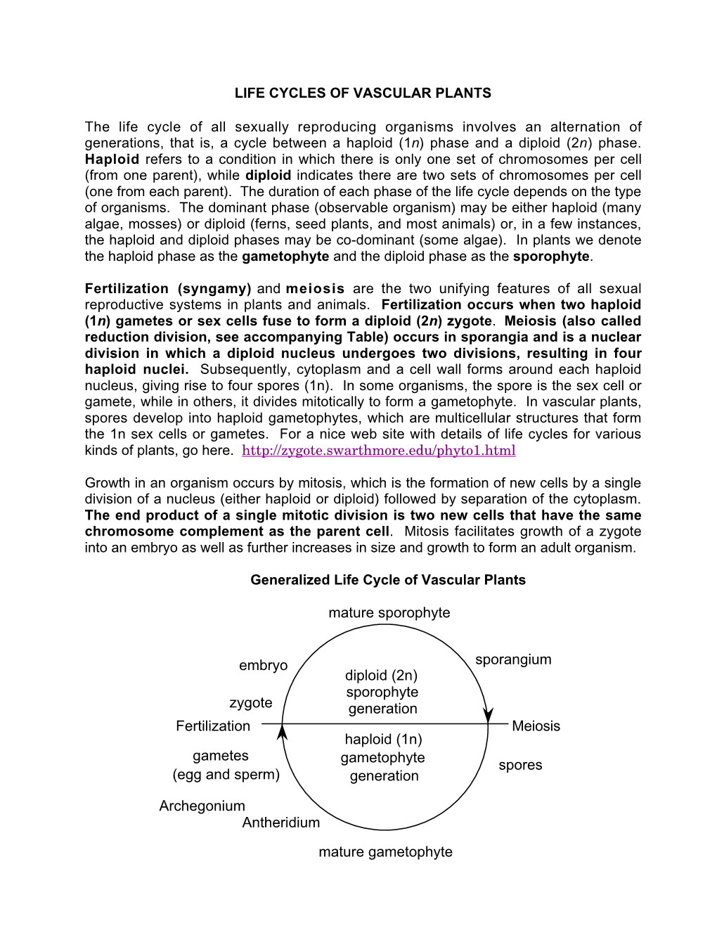 LIFE CYCLES of VASCULAR PLANTS the Life Cycle of All Sexually Reproducing Organisms Involves an Alternation of Generations, That