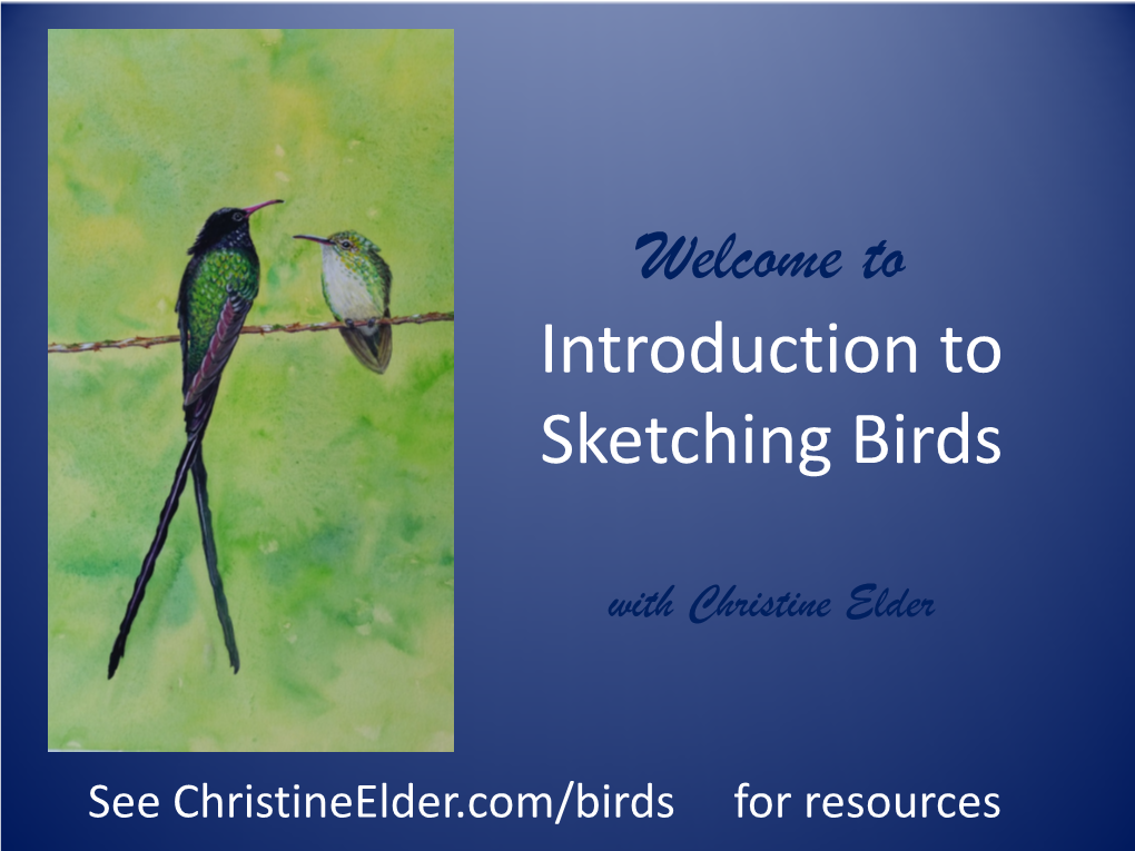 Introduction to Sketching Birds