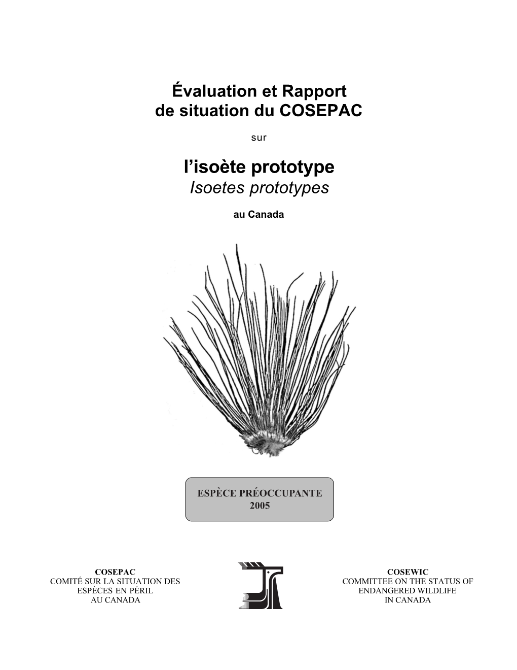 Isoetes Prototypes