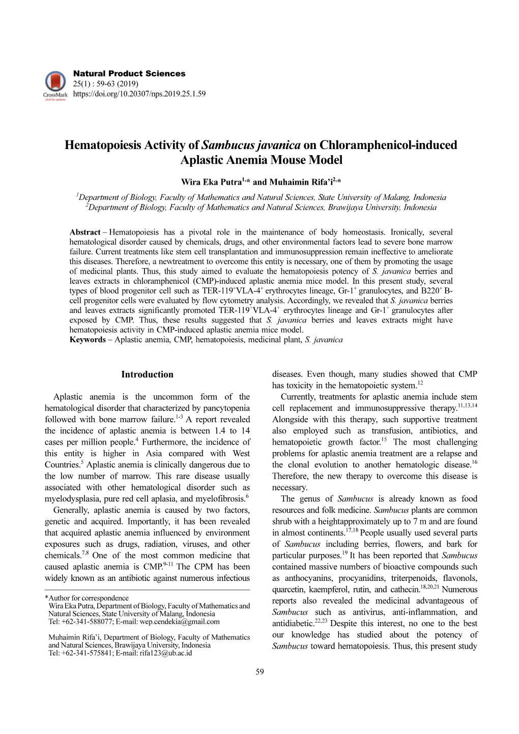 Hematopoiesis Activity of Sambucus Javanica on Chloramphenicol-Induced Aplastic Anemia Mouse Model