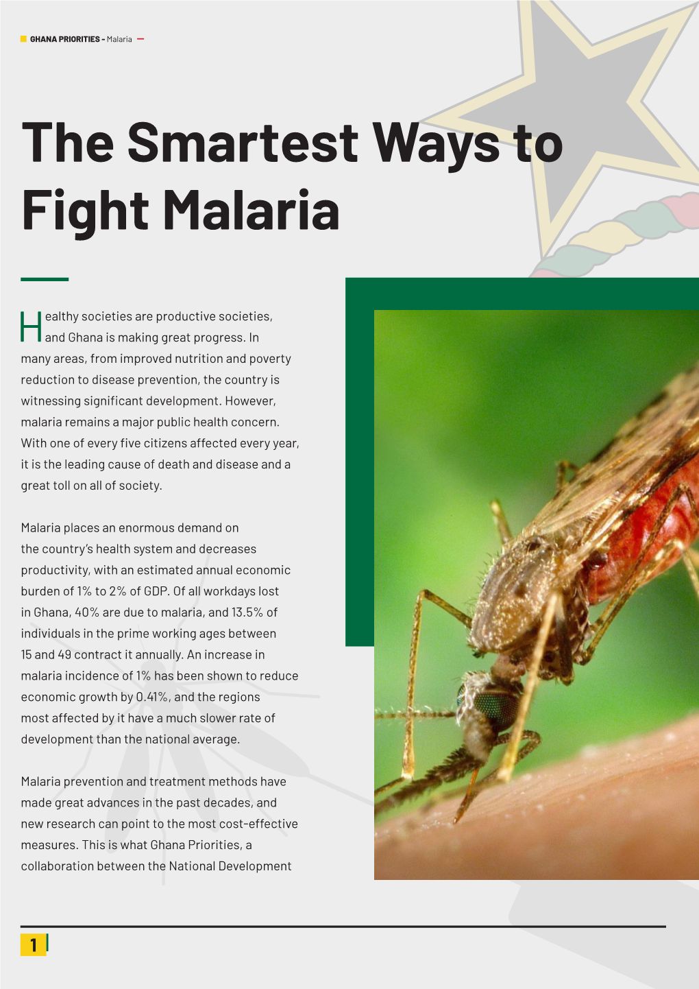 The Smartest Ways to Fight Malaria