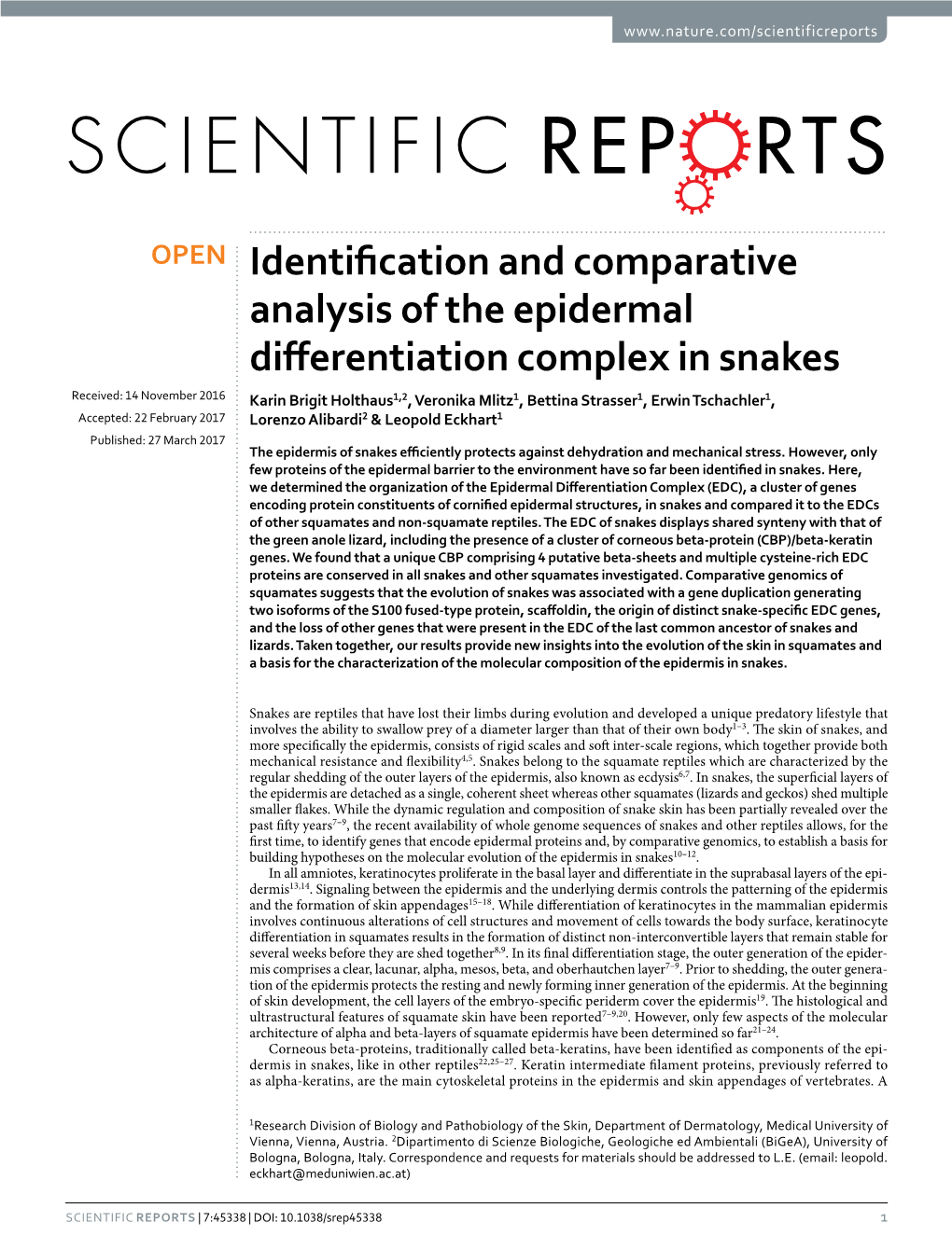 Identification and Comparative Analysis of the Epidermal