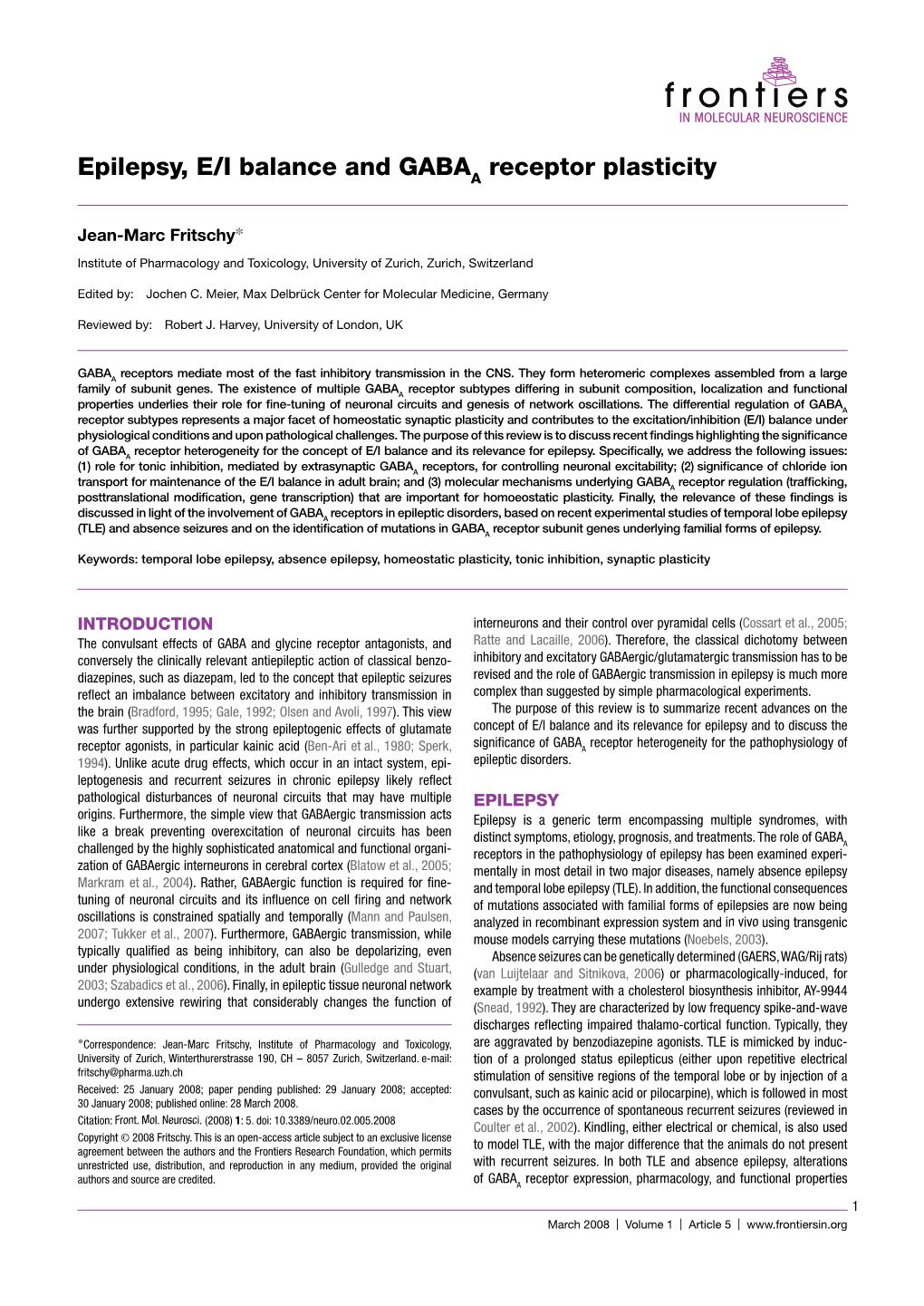 Epilepsy, E/I Balance and GABA Receptor Plasticity