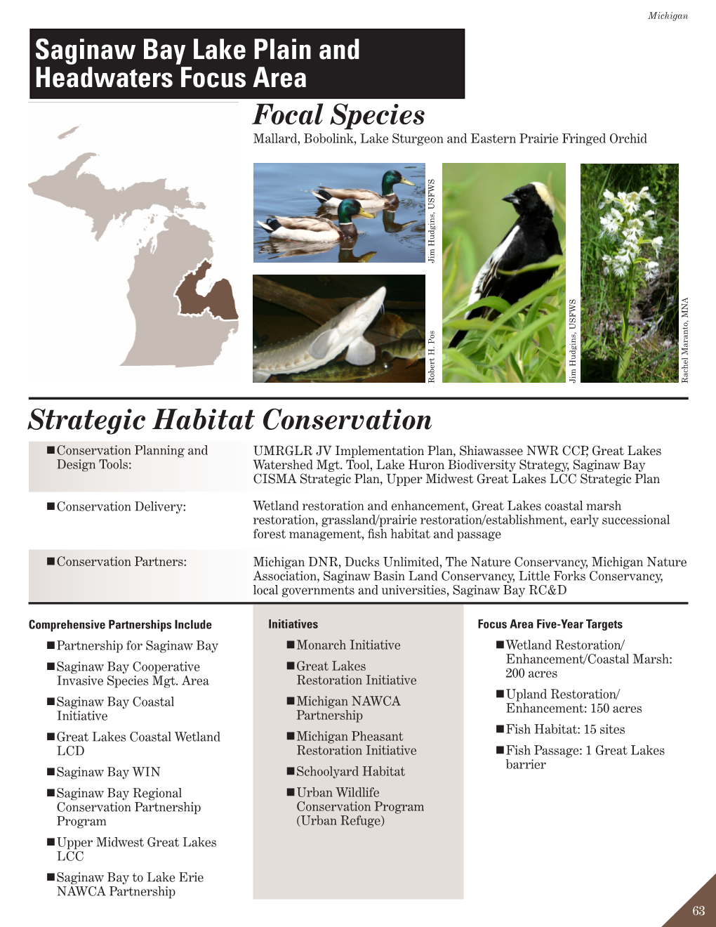 Saginaw Bay Lake Plain and Headwaters Focus Area Focal Species Mallard, Bobolink, Lake Sturgeon and Eastern Prairie Fringed Orchid Jim Hudgins, USFWS Robert H