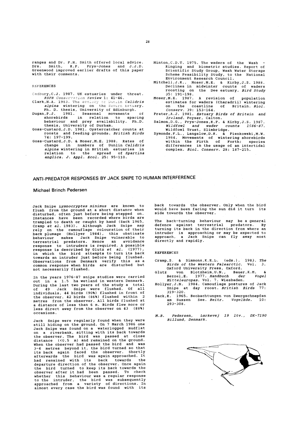 ANTI&Hyphen;PREDATOR RESPONSES by JACK SNIPE to HUMAN INTERFERENCE