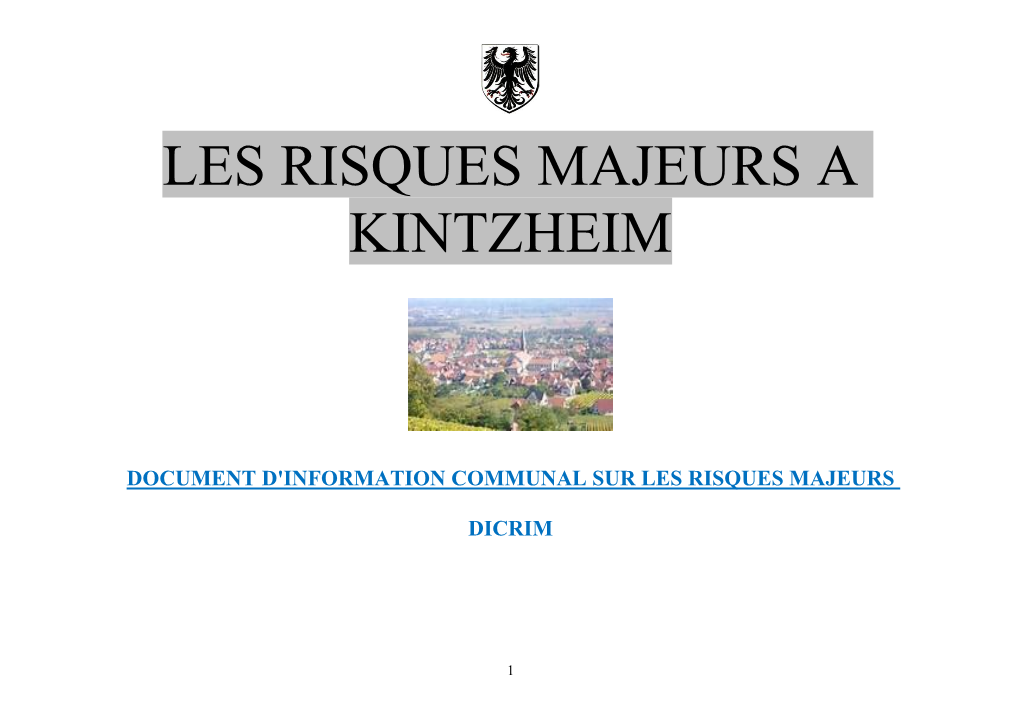 Les Risques Majeurs a Kintzheim