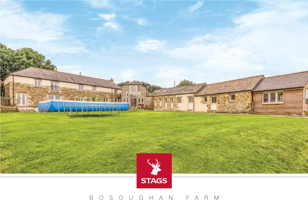 28301 Stags Bosoughan Farm 8PP Landscape.Qxp Stags
