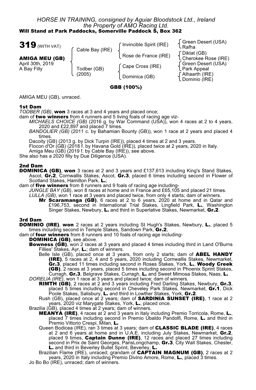 HORSE in TRAINING, Consigned by Aguiar Bloodstock Ltd., Ireland the Property of AMO Racing Ltd