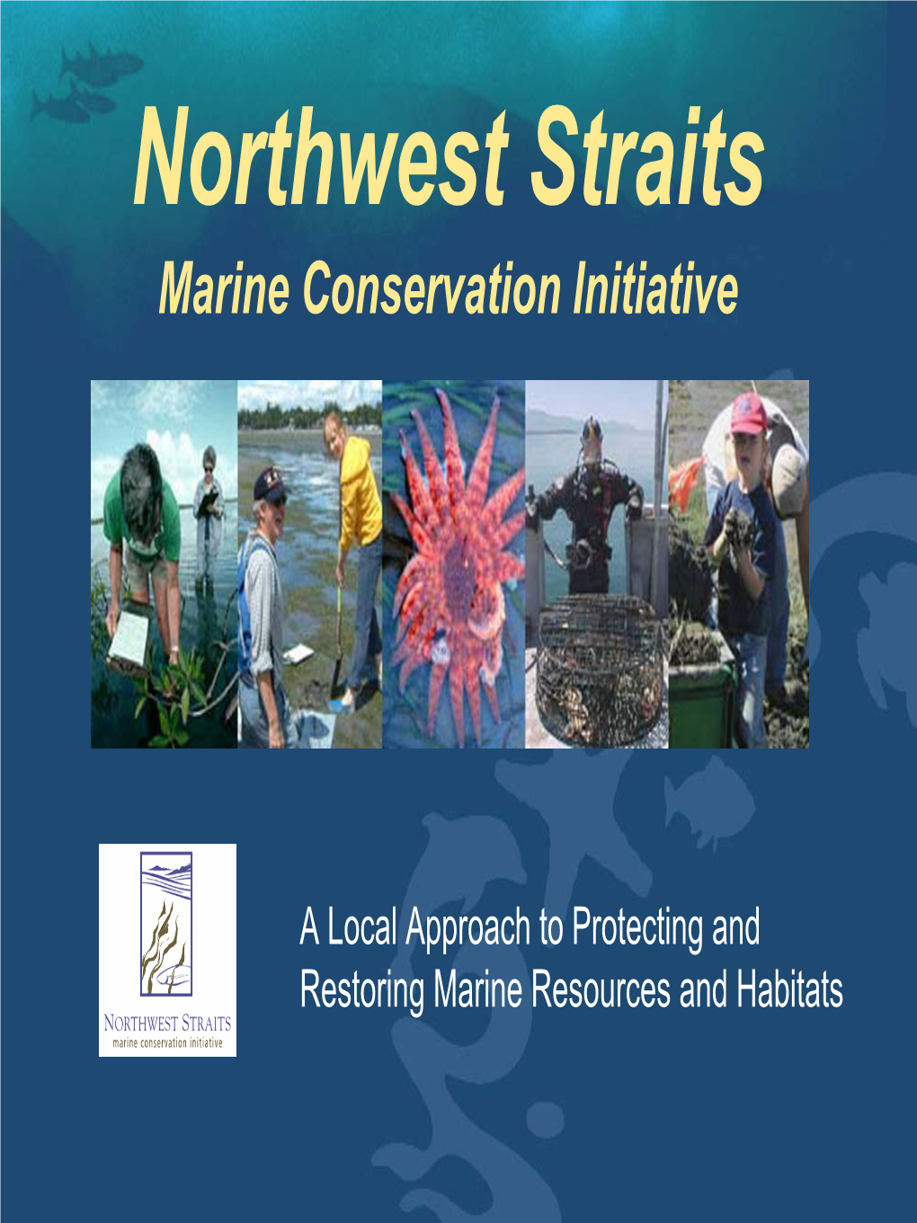 Northwest Straits Marine Conservation Initiative