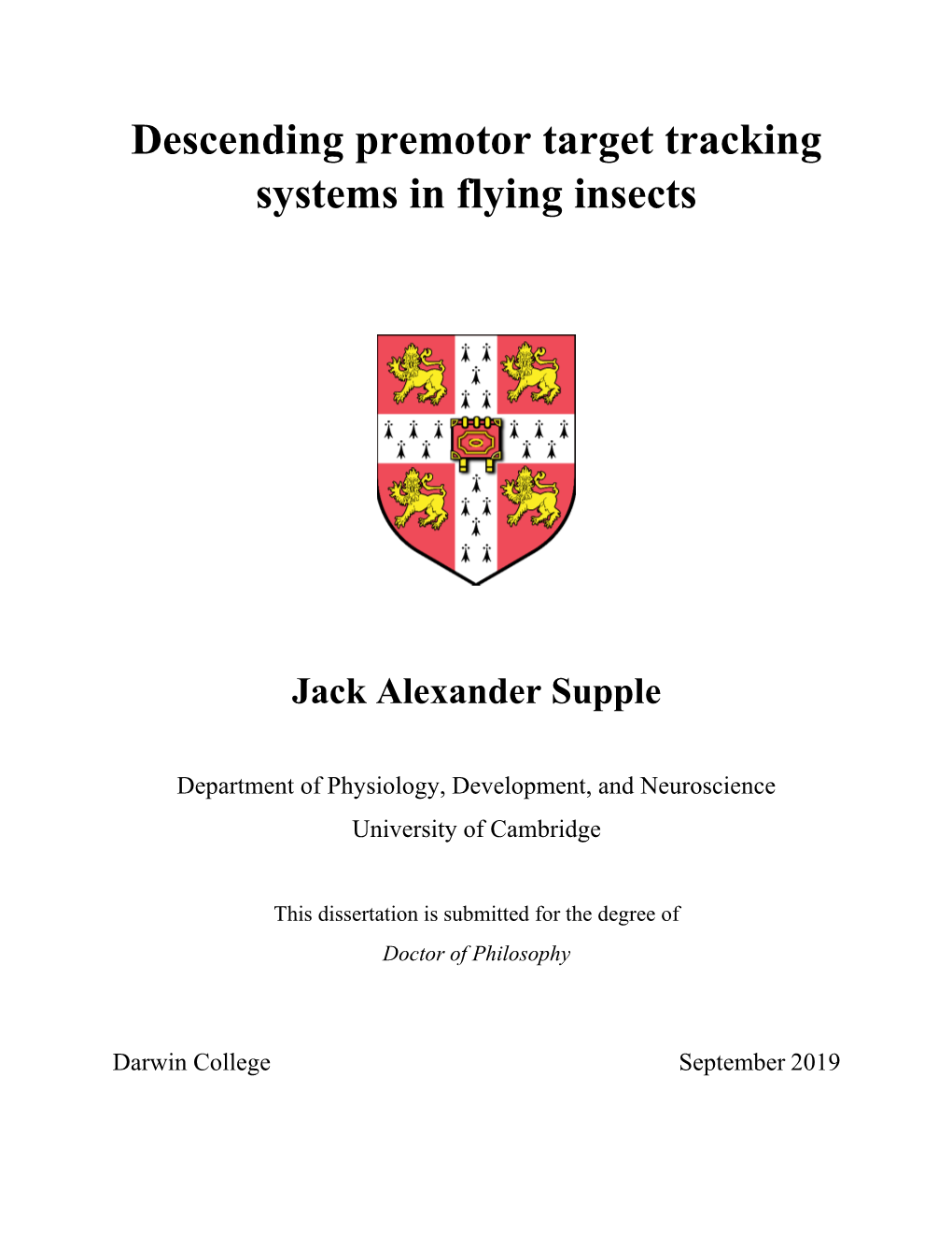 Descending Premotor Target Tracking Systems in Flying Insects