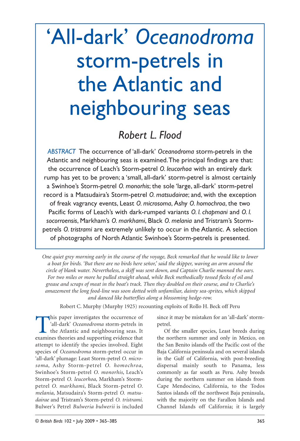 Oceanodroma Storm-Petrels in the Atlantic and Neighbouring Seas Robert L