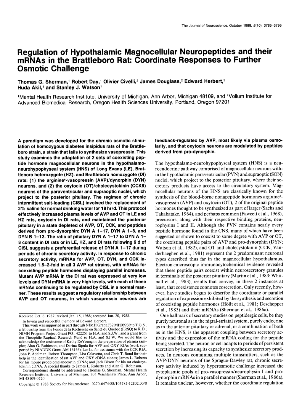 Regulation of Hypothalamic Magnocellular Neuropeptides and Their Mrnas in the Brattleboro Rat: Coordinate Responses to Further Osmotic Challenge