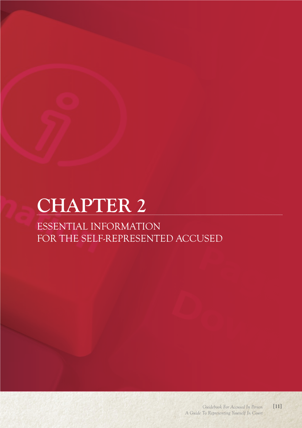 Chapter 2 Essential Information for the Self-Represented Accused