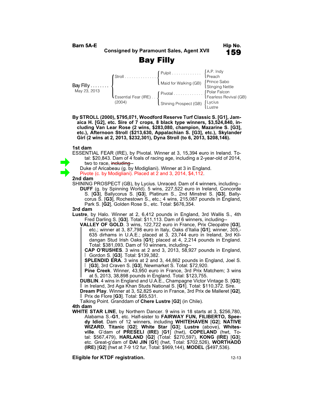 Paramount Sales, Agent XVII 159 Bay Filly