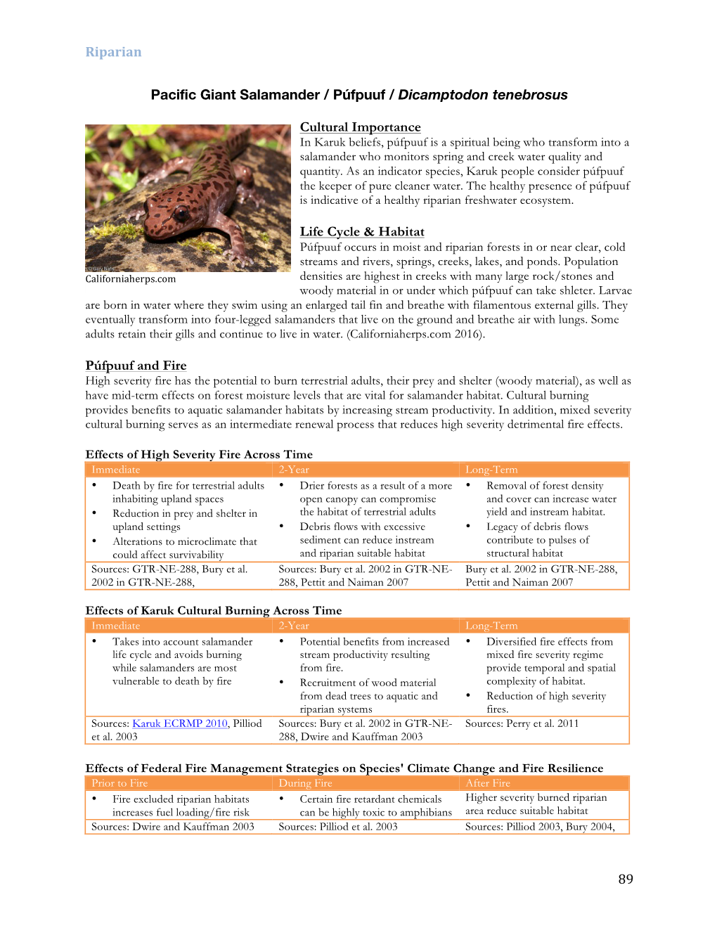 Riparian 89 Pacific Giant Salamander / Púfpuuf / Dicamptodon Tenebrosus Cultural Importance Life Cycle & Habitat