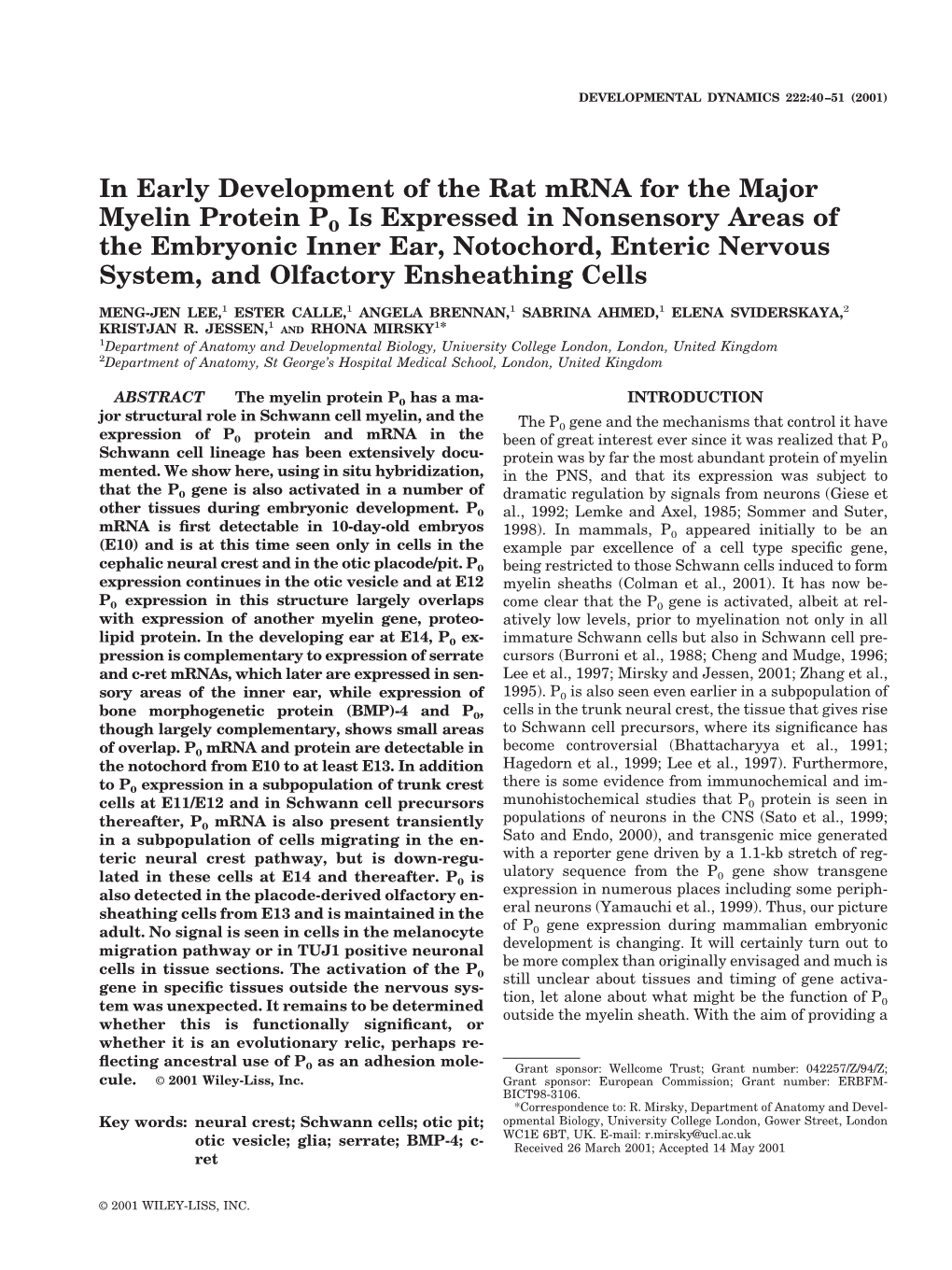 In Early Development of the Rat Mrna for the Major Myelin Protein