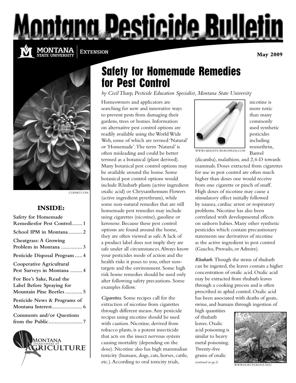 Safety for Homemade Remedies for Pest Control