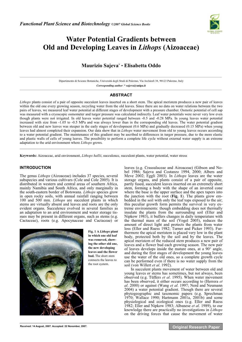 Water Potential Gradients Between Old and Developing Leaves in Lithops (Aizoaceae)