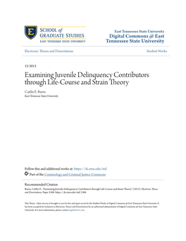 Examining Juvenile Delinquency Contributors Through Life-Course and Strain Theory Caitlin E