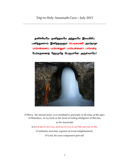 Trip to Holy Amarnath Cave – July 2013