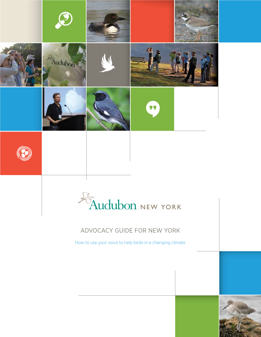 Audubon Ny Advocacy Guide