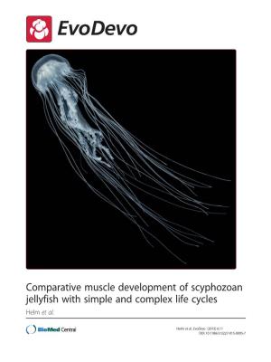 Comparative Muscle Development of Scyphozoan Jellyfish with Simple and Complex Life Cycles Helm Et Al
