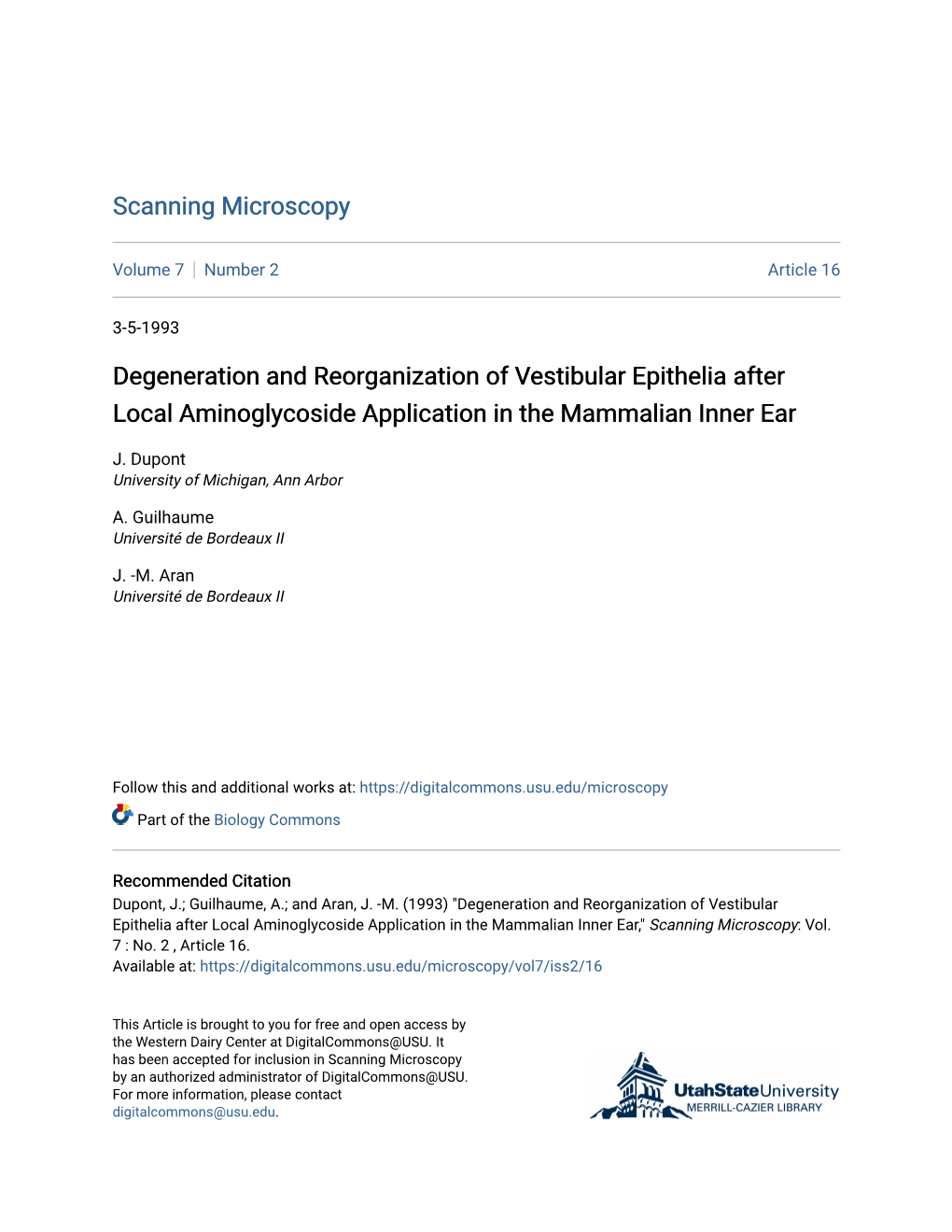 Degeneration and Reorganization of Vestibular Epithelia After Local Aminoglycoside Application in the Mammalian Inner Ear