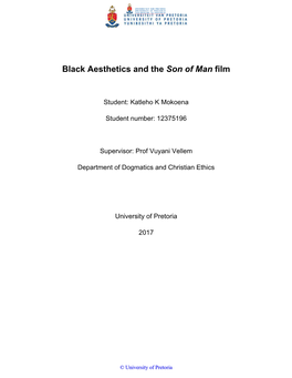 Black Aesthetics and the Son of Man Film