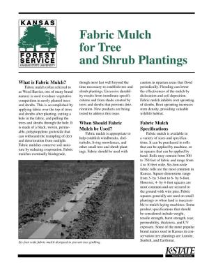 Fabric Mulch for Tree and Shrub Plantings, Kansas State University, August 2004