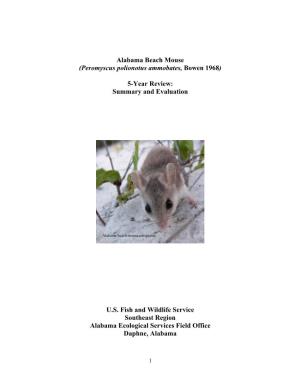 Alabama Beach Mouse (Peromyscus Polionotus Ammobates, Bowen 1968)