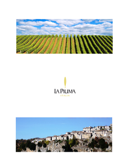 “La Piuma” – MGM / Mondo Del Vino Tuscany / Abruzzo / Emilia