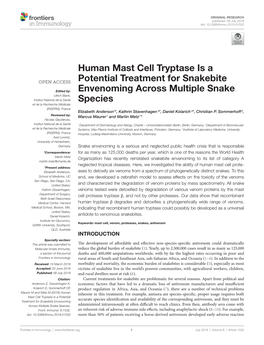 Human Mast Cell Tryptase Is a Potential Treatment for Snakebite