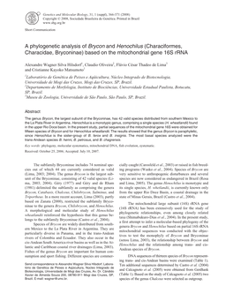 A Phylogenetic Analysis of Brycon and Henochilus (Characiformes, Characidae, Bryconinae) Based on the Mitochondrial Gene 16S Rrna