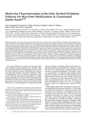 Molecular Characterization of the Fatty Alcohol Oxidation Pathway for Wax-Ester Mobilization in Germinated Jojoba Seeds1[W]