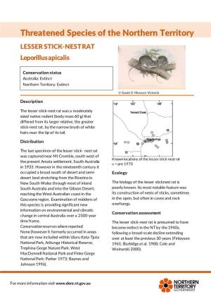 LESSER STICK-NEST RAT Leporillus Apicalis