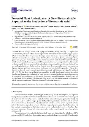 Powerful Plant Antioxidants: a New Biosustainable Approach to the Production of Rosmarinic Acid