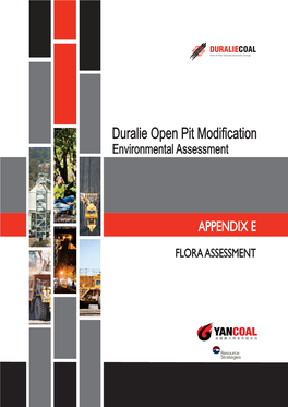 Duralie Open Pit Modification Environmental Assessment